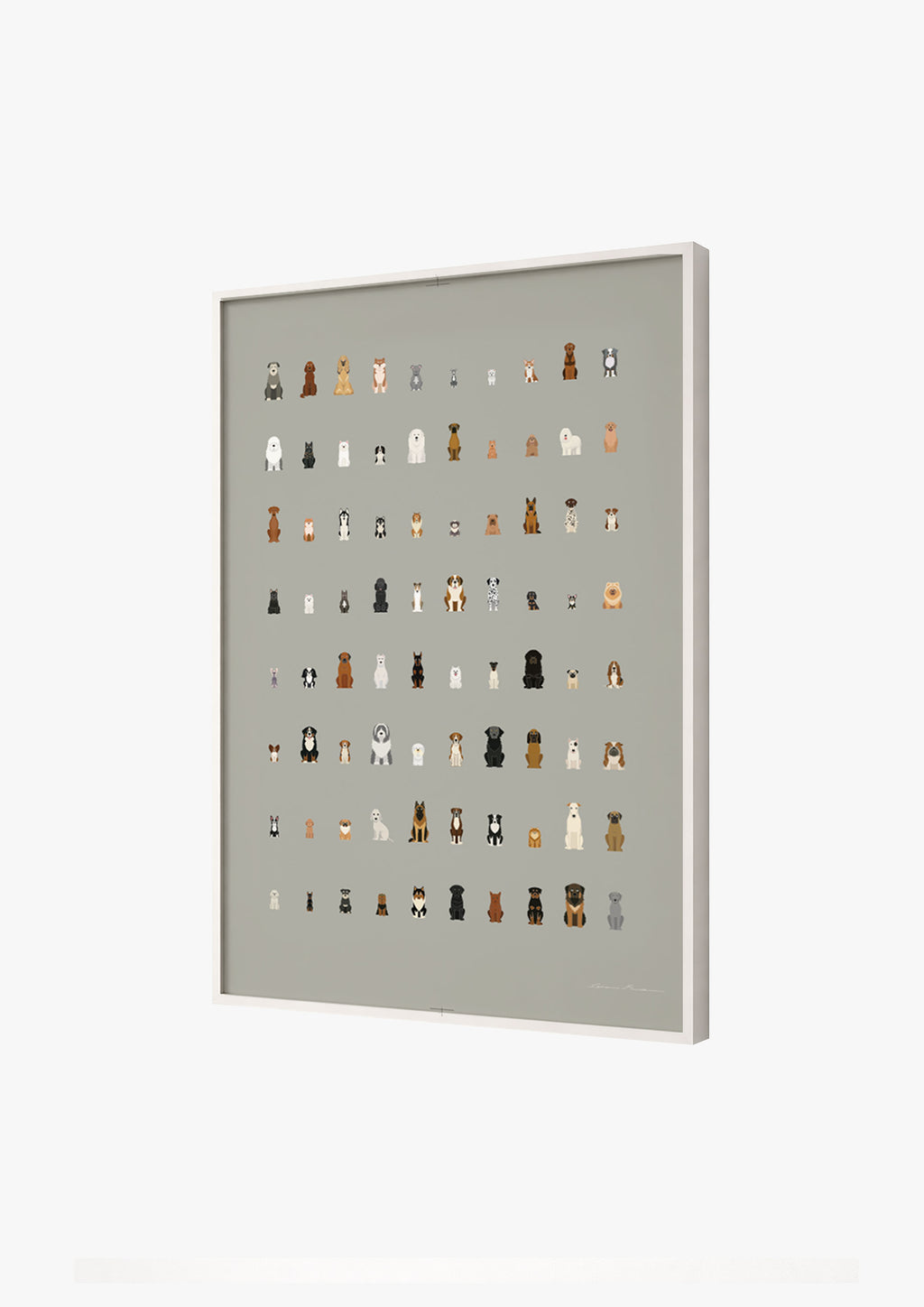 80 DOGS NT (Not Text)