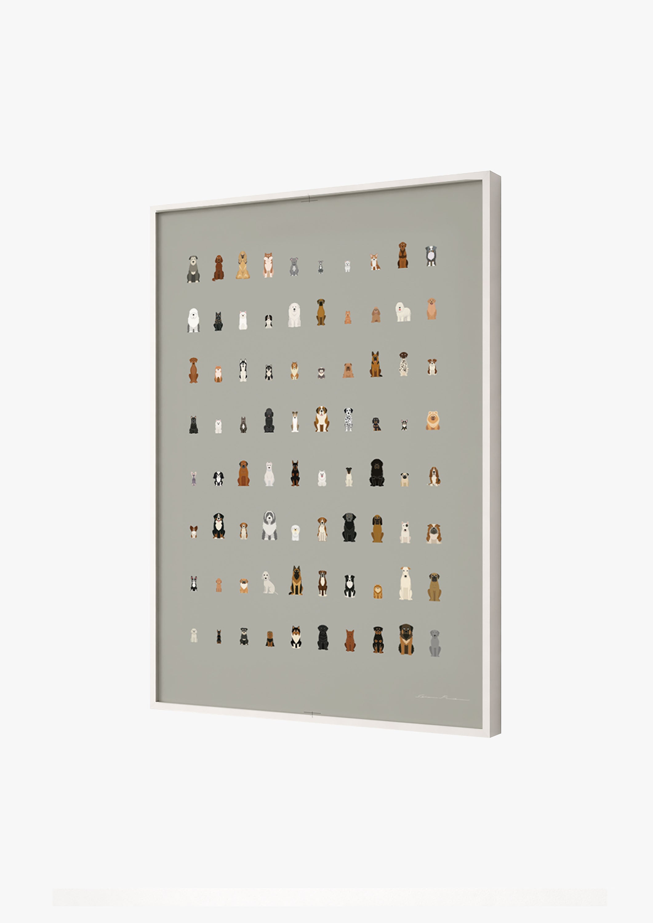 80 DOGS NT (Not Text)